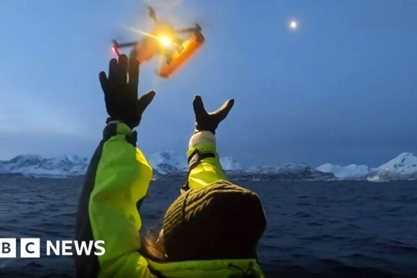 Дрони виявляють смертельний вірус у диханні арктичних китів