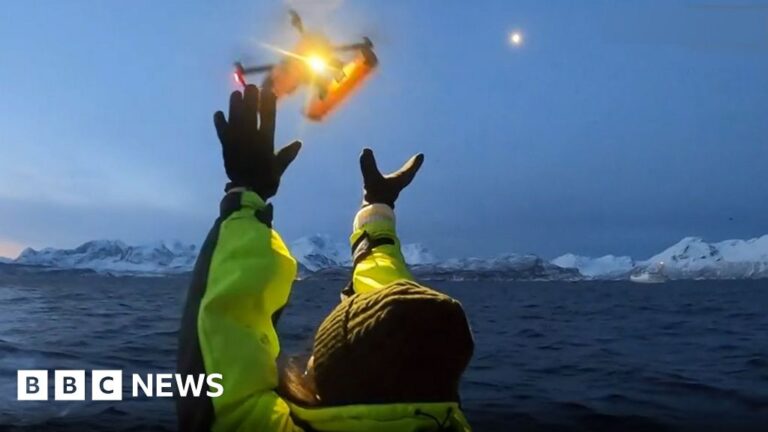 Дрони виявляють смертельний вірус у диханні арктичних китів