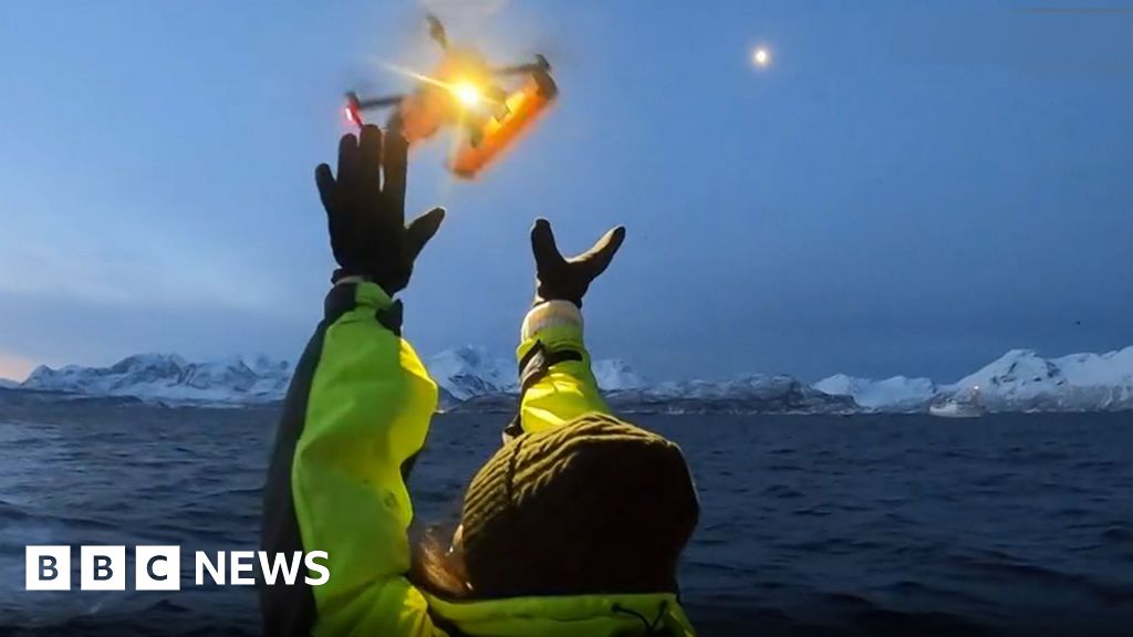 Дрони виявляють смертельний вірус у диханні арктичних китів