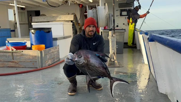 У глибинах океану є відсутня ланка, і вчені нарешті знайшли її