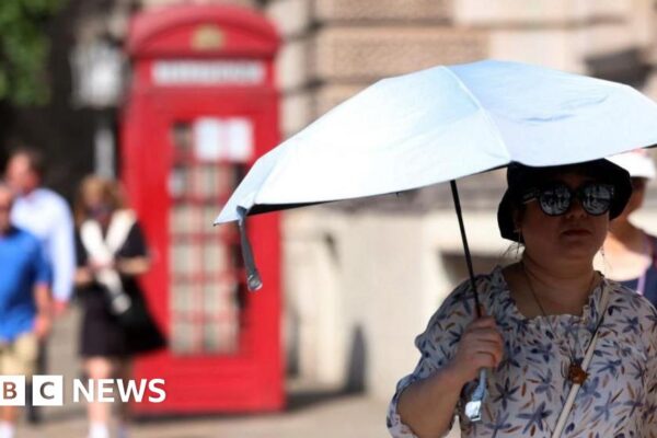 «Це наше майбутнє», — попереджає консультант із питань клімату, оскільки 2025 рік поб’є теплові рекорди