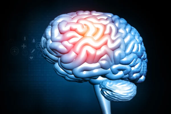 Втрата ваги в середньому віці може мати приховані витрати на мозок