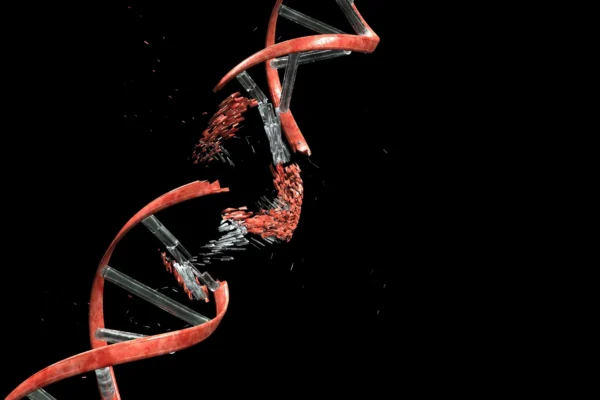 Правило 4х: чому ДНК одних людей більш нестабільна, ніж інших