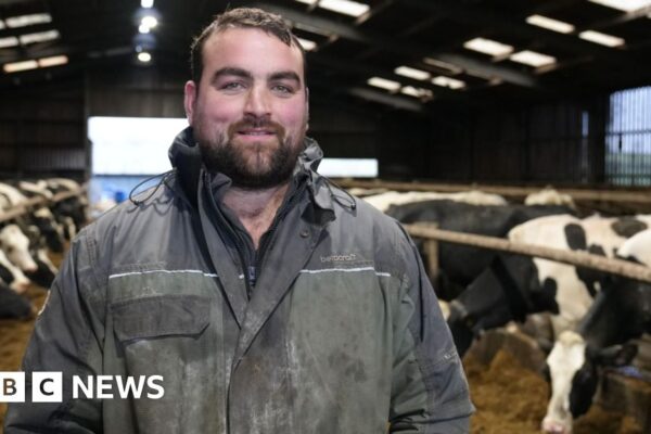 Суперечлива схема субсидій для фермерських господарств після Brexit — знаковий момент для Уельсу