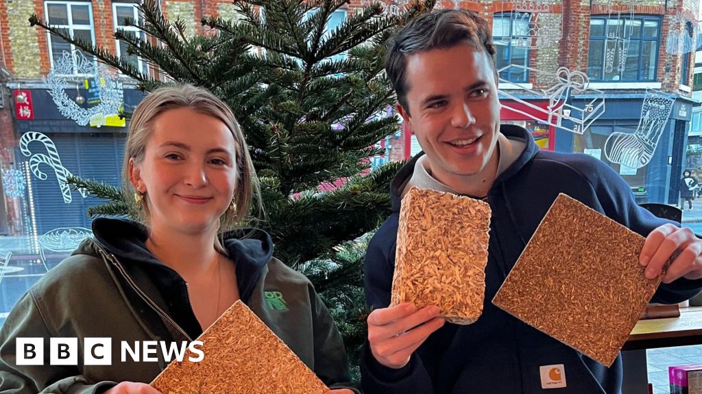 Як ялинки отримують нове дихання