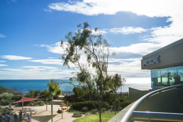 Procore купує фірму вертикального штучного інтелекту