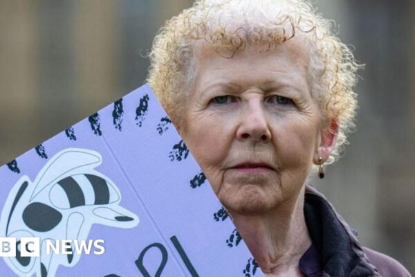 Міністри відхиляють заклики Waspi про компенсацію після переосмислення