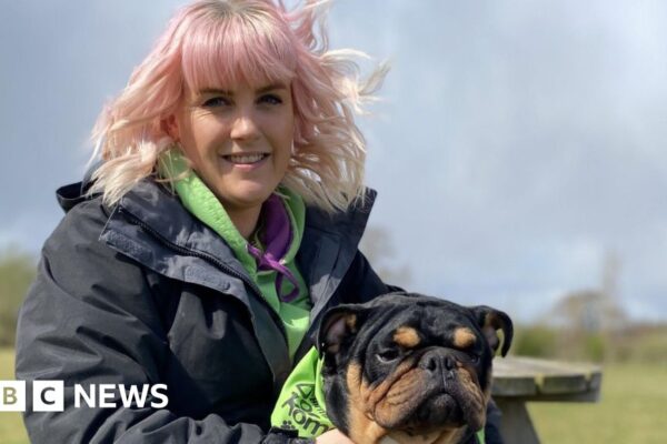 Зростаючі витрати на ветеринара призводять до того, що благодійність коштує 400 тисяч фунтів стерлінгів