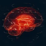 AI зчитує МРТ головного мозку за секунди та позначає надзвичайні ситуації