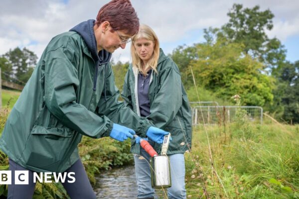 Велика Британія запускає план боротьби з «вічними хімікатами» на тлі зростаючої стурбованості