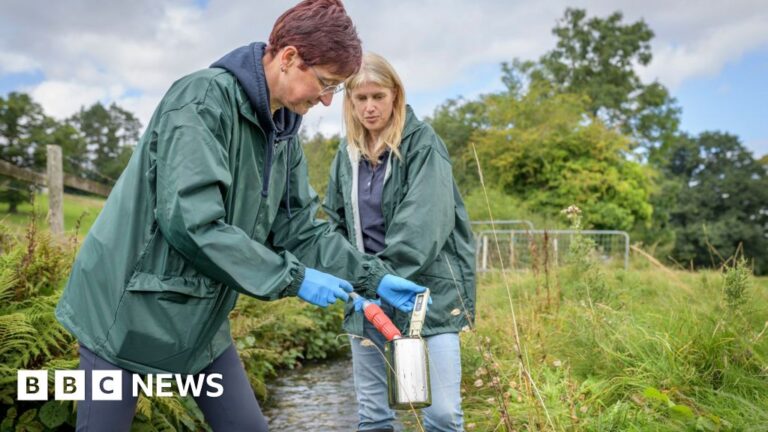 Велика Британія запускає план боротьби з «вічними хімікатами» на тлі зростаючої стурбованості