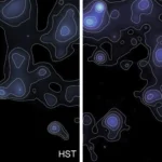 Вчені щойно нанесли на карту приховану структуру, яка скріплює Всесвіт