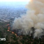 Підприємствам загрожує зникнення, якщо вони не захистять природу, попереджає головний звіт