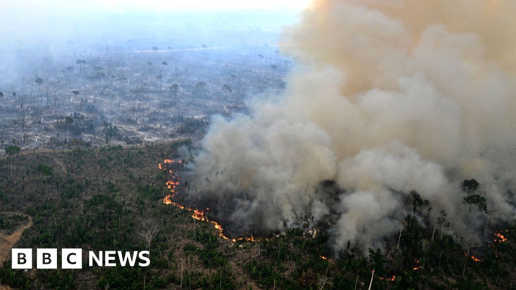 Підприємствам загрожує зникнення, якщо вони не захистять природу, попереджає головний звіт